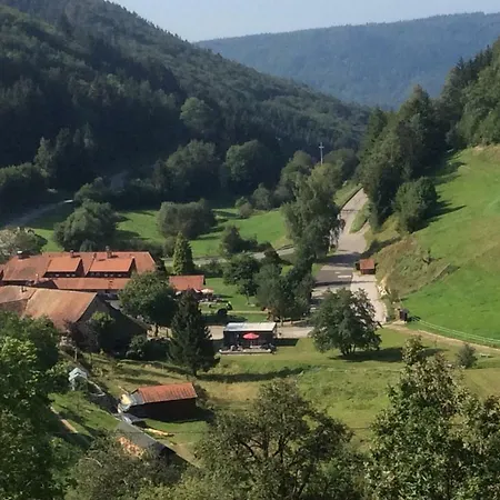Lejlighed Ferienwohnung Am Hasel *